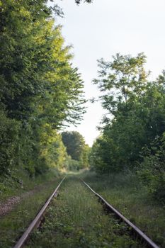 Railway station with nature and trees. Industrial landscape with the railroad, blue sky, and vegetation in summer. Railway junction in the evening. Transportation railway.