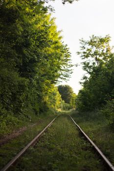 Railway station with nature and trees. Industrial landscape with the railroad, blue sky, and vegetation in summer. Railway junction in the evening. Transportation railway.