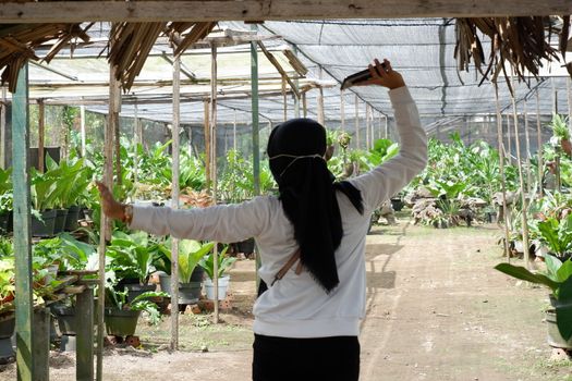 Young Asian women wearing hijab happily walk into flower gardens on a nature tour during the pandemic