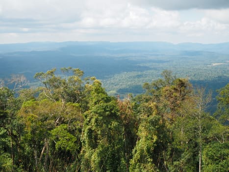 Forest and mountain views On the background is the sky with white clouds.