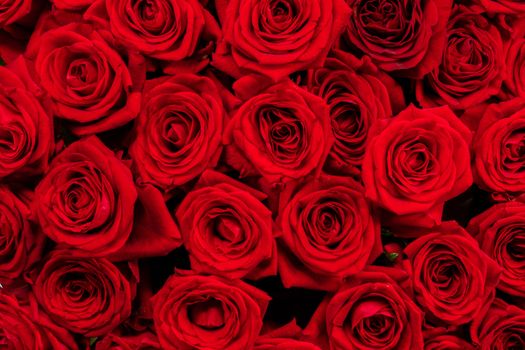 A lot of red roses background, Valentines day gift concept