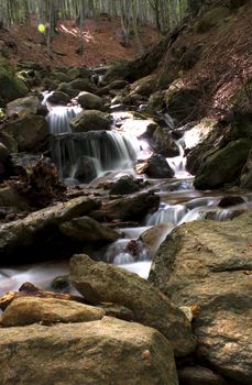 L'acqua  scende dalla piccola cascata nel bosco