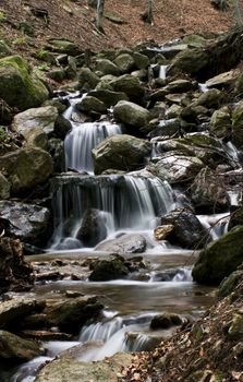 L'acqua  scende dalla piccola cascata nel bosco