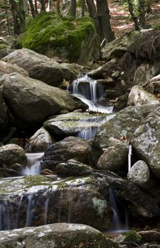 L'acqua  scende dalla piccola cascata nel bosco