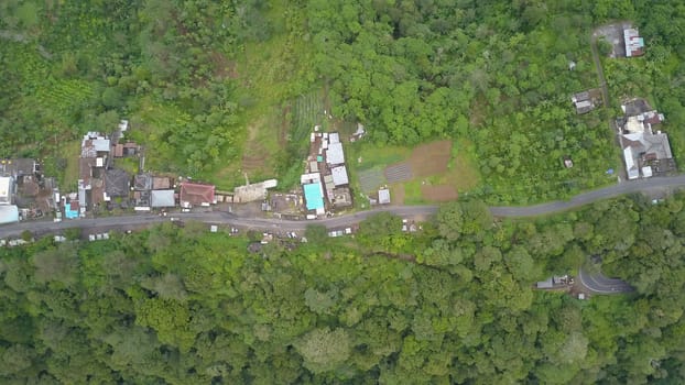 Green Bali landscape. Aerial drone top view to road and trees in the north of Bali island. Indonesia.