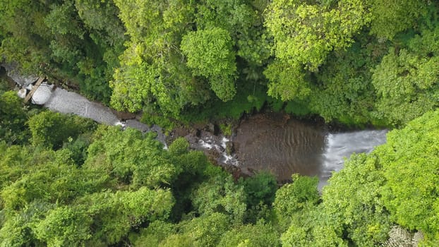 Aerial drone view of Labuhan Kebo Waterfall located in Munduk, Bali.