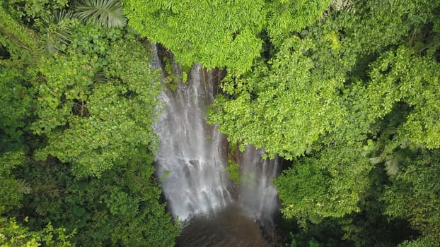 Aerial View of forest and river towards Labuhan Kebo Waterfall located in Munduk, Bali.