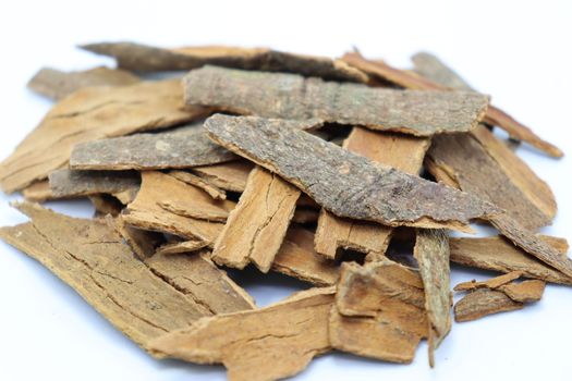 healthy and spicy cinnamon stock on white background
