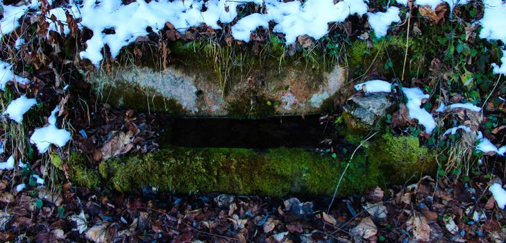 Watering can for cattle. A stone trough where there is water that is overgrown with moss. It is winter and there is snow all around. Zavidovici, Bosnia and Herzegovina.