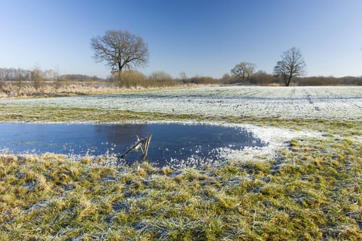 Frozen pond and frost on the meadow, trees on the horizon and blue sky, winter view