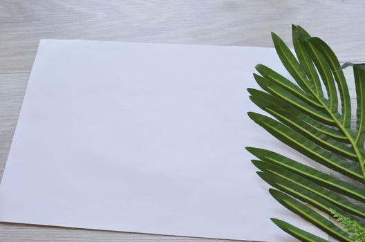 Mockup card with plants. invitation card with environment and details Mockup with postcard and flowers on white background.