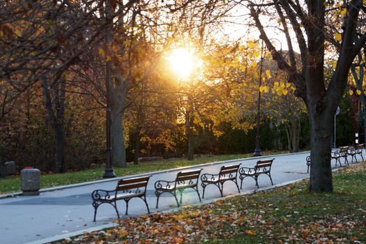 sunset in autumn park with empty benches.