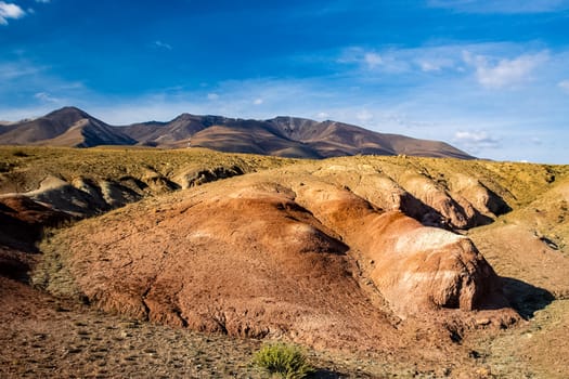 The altai mountains. The landscape of nature on the Altai mountains and in the gorges between the mountains.