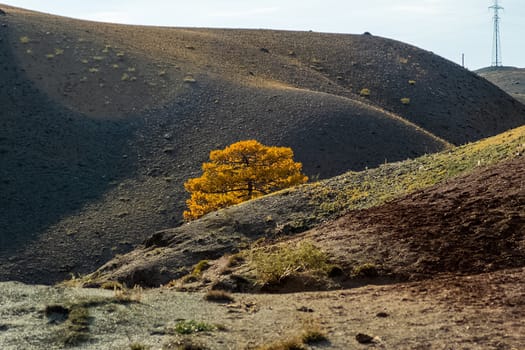 The altai mountains. The landscape of nature on the Altai mountains and in the gorges between the mountains.