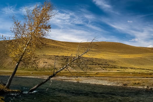 The altai mountains. The landscape of nature on the Altai mountains and in the gorges between the mountains.