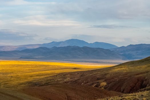 The altai mountains. The landscape of nature on the Altai mountains and in the gorges between the mountains.