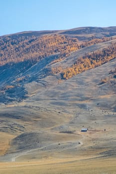 The altai mountains. The landscape of nature on the Altai mountains and in the gorges between the mountains.