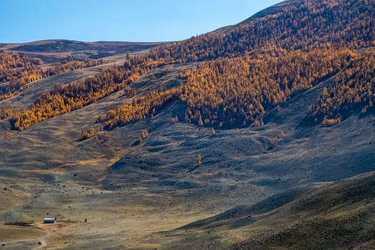 The altai mountains. The landscape of nature on the Altai mountains and in the gorges between the mountains.