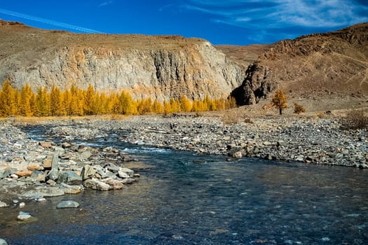 The altai mountains. The landscape of nature on the Altai mountains and in the gorges between the mountains.