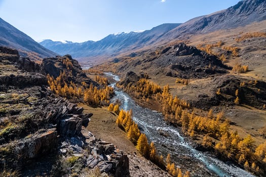 The altai mountains. The landscape of nature on the Altai mountains and in the gorges between the mountains.