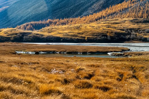 The altai mountains. The landscape of nature on the Altai mountains and in the gorges between the mountains.