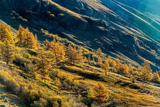 The altai mountains. The landscape of nature on the Altai mountains and in the gorges between the mountains.