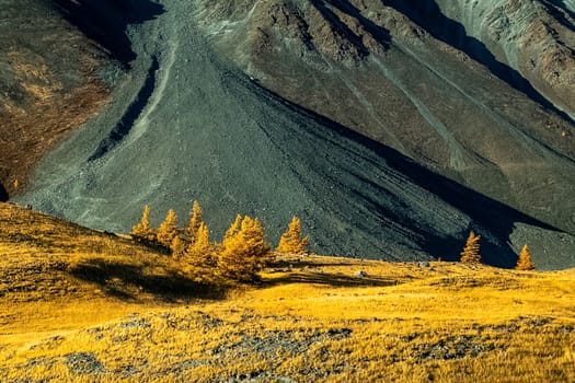 The altai mountains. The landscape of nature on the Altai mountains and in the gorges between the mountains.