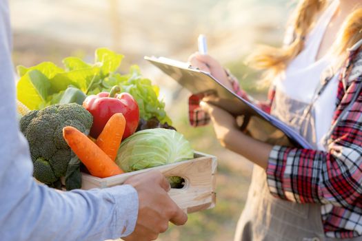 Young asian woman checking vegetable organic hydroponic farm and man harvest picking up fresh vegetable, girl writing record document grow of leaf for quality produce, small business owner concept.