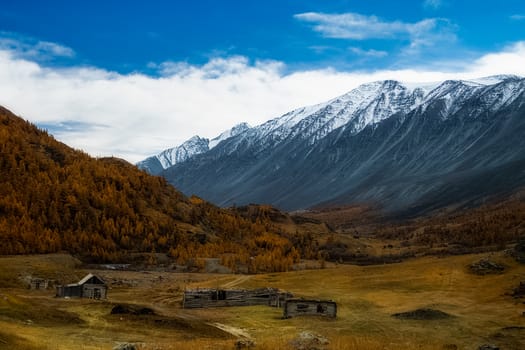 The altai mountains. The landscape of nature on the Altai mountains and in the gorges between the mountains.