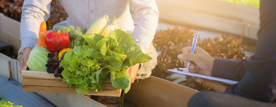 Two young asian man checking and picking up organic fresh vegetable in hydroponic farm and writing record document grow of leaf for quality produce, small business owner concept, banner website.