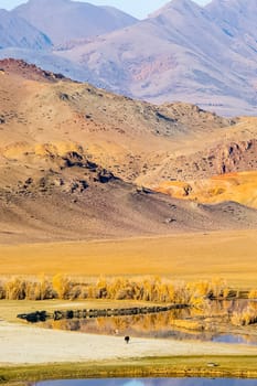 The altai mountains. The landscape of nature on the Altai mountains and in the gorges between the mountains.