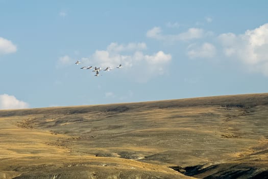 The altai mountains. The landscape of nature on the Altai mountains and in the gorges between the mountains.