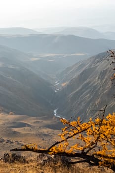 The altai mountains. The landscape of nature on the Altai mountains and in the gorges between the mountains.