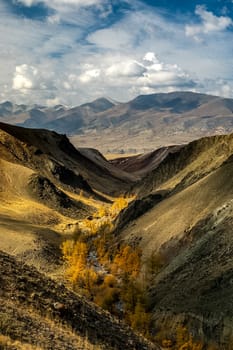 The altai mountains. The landscape of nature on the Altai mountains and in the gorges between the mountains.