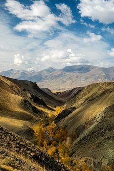 The altai mountains. The landscape of nature on the Altai mountains and in the gorges between the mountains.