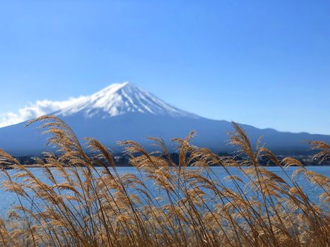 Beautiful view of  Mountain Fuji and Lake Kawaguchiko in Japan