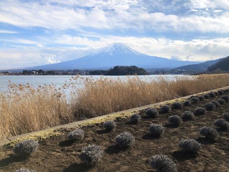 Beautiful view of  Mountain Fuji and Lake Kawaguchiko in Japan