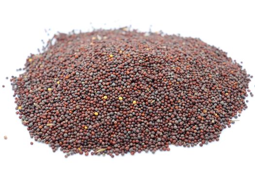 healthy and spicy mustard stock on white background