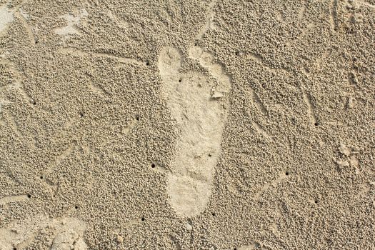 Footprints in the sand smooth, Thailand.