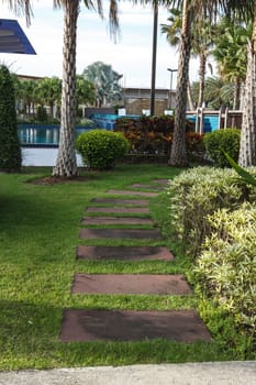 beautiful walkway in garden