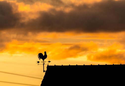 orange sky. sunset photo as background