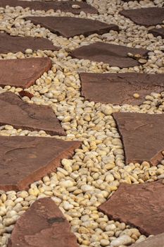 Walkway made ​​of stone in the garden.