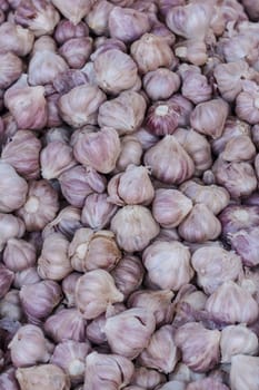 closeup of garlic on market stand