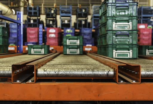 package boxes on industrial conveyor line.