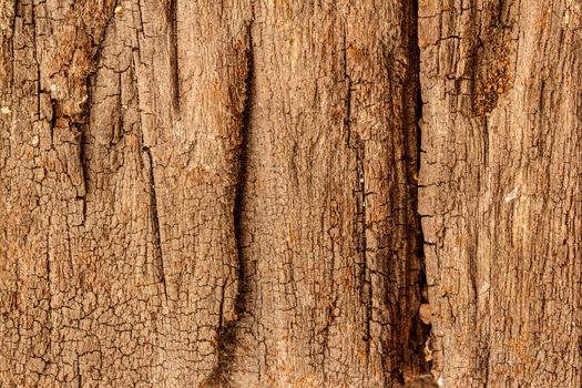 seamless texture of old wood with cracks pattern