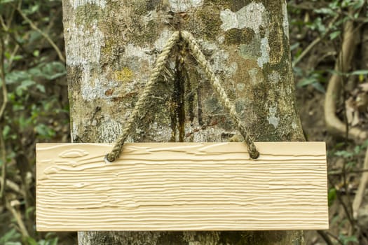 wooden signboard in the forest