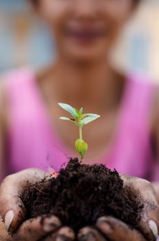 Small green seedling in hand.