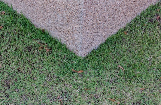 background of green grass and cement screed.