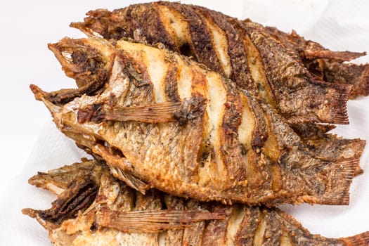 fried fish isolated in white background