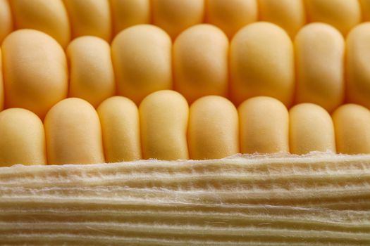 close up of golden corn grains, healthy organic vegetarian food, abstract fresh corn for background